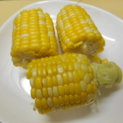 toku-jiro-0707さん
レンチンで手早く作れ、美味しく食べました♡
ご馳走さまでした(*^_^*)
再度利用したです♪